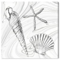 Wynwood Studio Hautical and Coastal Wall Art vászon nyomatok Seaskells ezüst I 'Marine Life - Fekete, Fehér