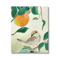 Stupell Industries madár ülő narancsfa ágból levelek festménygaléria csomagolt vászon nyomtatott fali művészet, Robin Maria tervezése