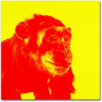Védjegy képzőművészet csimpánz No 4 vászon művészet Claire Doherty