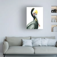 Grace Popp 'Wercolor Pelican i' Canvas Art