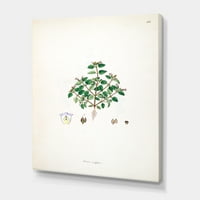 Designart 'ősi növényi élet xiii' parasztház vászon fali művészet nyomtatás