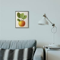 Stupell Industries Vintage Fruit Apple festés keretes Giclee Texturized Art by Vision Studio